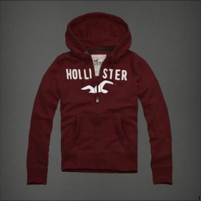 Cheap Hollister Men Hoodies wholesale No. 5